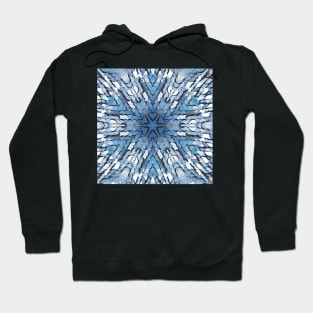 BLUE LENTILS Hoodie